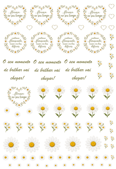 Arte frases e margaridas