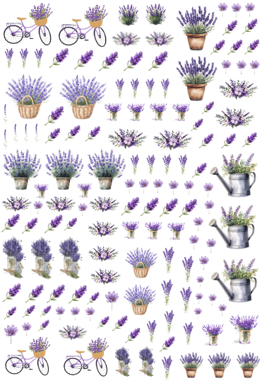 Arte lavanda